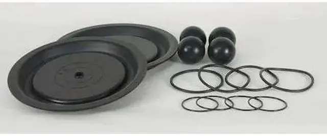 Main image of DAYTON 22A616 Pump Repair Kit,Fluid,2",For 3HJW6