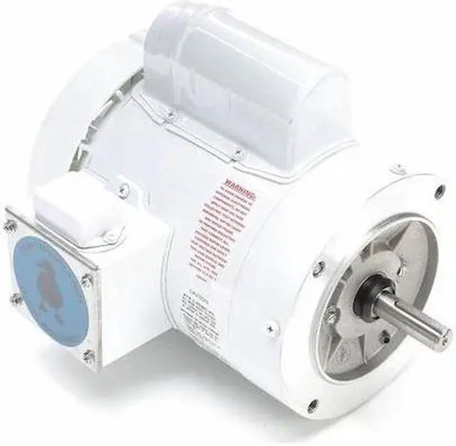 Main image of LEESON 114315.00 Washdown Motor,3/4 HP,Face,11-3/8 in. L