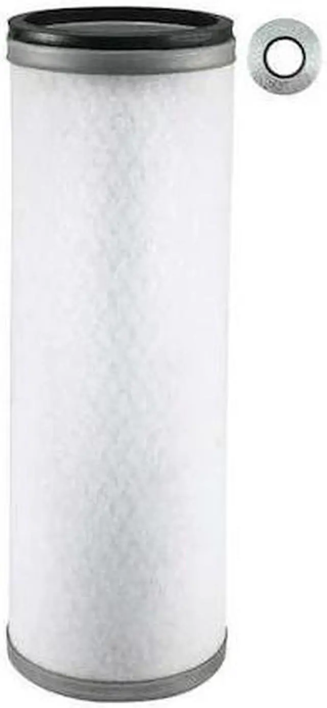 Main image of BALDWIN FILTERS PA4603 Air Filter,3-7/8 x 11-19/32 in.