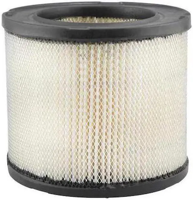 Main image of BALDWIN FILTERS PA2134 Air Filter,5-3/4 x 4-15/16 in.