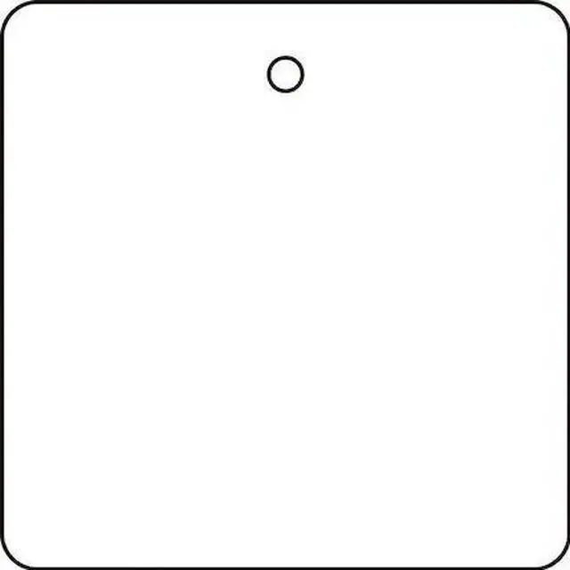 Main image of ZORO SELECT 22CM93 Tag, Blank, Plastic, 2 in H x 2 in W, White, Square, 10 PK