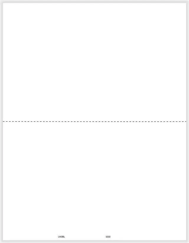 Main image of TFP W-2 Blank Face, With W-2 Backer Instructions- Pack of 1000