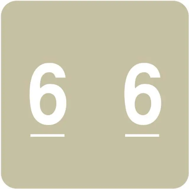 Main image of Acme Compatible "6" Numeric Labels, Laminated Stock, 1-1/2" X 1-1/2" Individual Numbers - Roll of 500