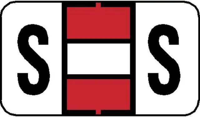 Main image of Jeter 7200 Compatible "S" Labels, Laminated Stock, 15/16" X 1-5/8", Individual Letters - Pack of 225
