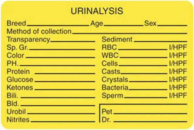 Main image of Urinalysis Breed/Age/Sex 3" x 2" Fl-Yellow Label (Roll of 320)