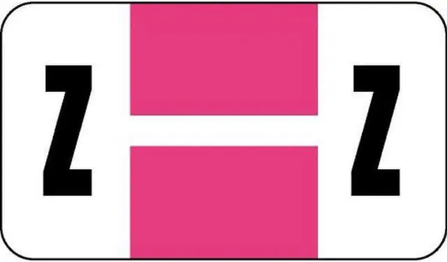 Main image of Safeguard Compatible "Z" Labels, Laminated Stock, 15/16" X 1-5/8" Individual Letters - Pack of 240