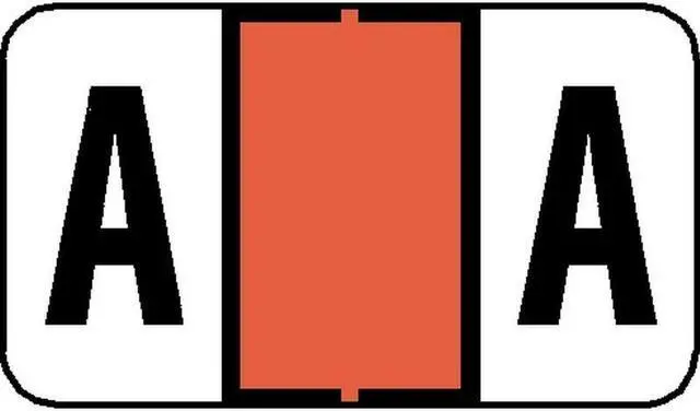 Main image of Jeter 7200 Compatible "A" Labels, Laminated Stock, 15/16" X 1-5/8", Individual Letters - Pack of 225