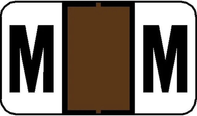 Main image of Jeter 7200 Compatible "M" Labels, Laminated Stock, 15/16" X 1-5/8", Individual Letters - Pack of 225
