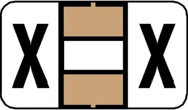 Main image of Jeter 7200 Compatible "X" Labels, Laminated Stock, 15/16" X 1-5/8", Individual Letters - Pack of 240