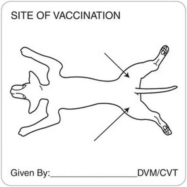 Main image of Vaccination Canine 2-1/2" x 2-1/2" White Label (Roll of 320)