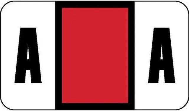 Main image of Safeguard Compatible "A" Labels, Laminated Stock, 15/16" X 1-5/8" Individual Letters - Pack of 240