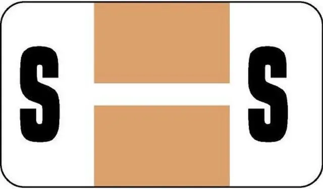 Main image of Safeguard Compatible "S" Labels, Laminated Stock, 15/16" X 1-5/8" Individual Letters - Pack of 240