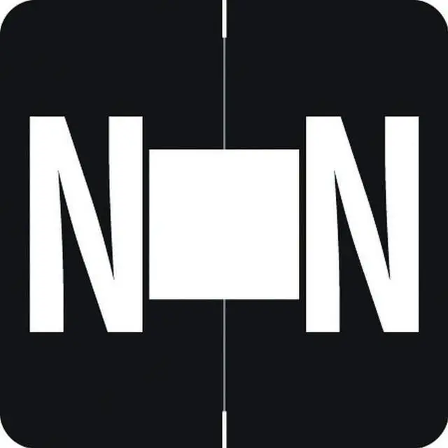 Main image of Barkley ADPK Compatible "N" Labels, Laminated Stock, 1-1/2" X 1-1/2" Individual Letters - Pack of 228