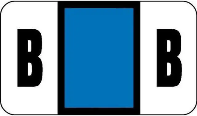 Main image of Safeguard Compatible "B" Labels, Laminated Stock, 15/16" X 1-5/8" Individual Letters - Pack of 240