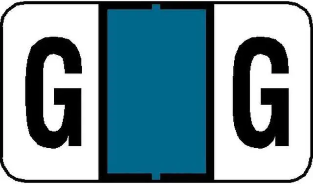 Main image of Jeter 7200 Compatible "G" Labels, Laminated Stock, 15/16" X 1-5/8", Individual Letters - Pack of 225