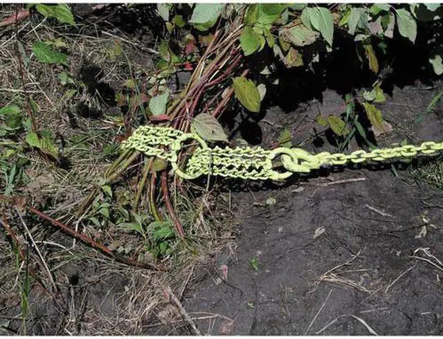 Alt view image 2 of 14 - BRUSH GRUBBER BG-16 Shrub/Clump Grubber