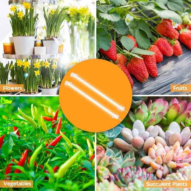 LED Grow Light Strips Full Spectrum Lamp for Indoor Plants Flower Veg ...