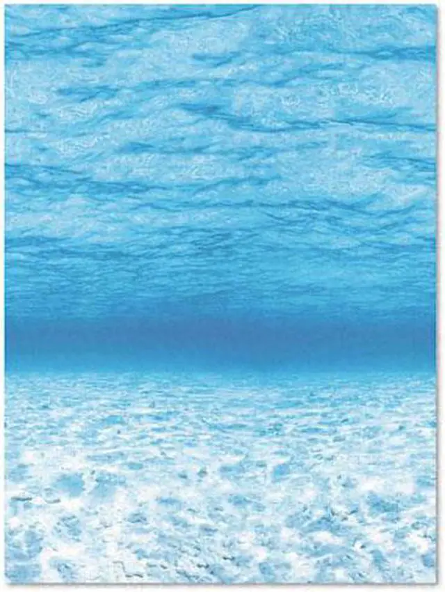 Main image of Pacon 56525 Fadeless Designs Bulletin Board Paper  Under Sea  Acid-Free  48   x 50  Rl