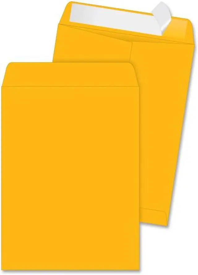 Main image of Quality Park High Bulk Redi Strip Catalog Envelope 9 x 12 250/Box 41420