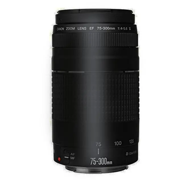 Alt view image 2 of 6 - Canon EF 75-300mm f/4.0-5.6 III Lens Accessory Bundle