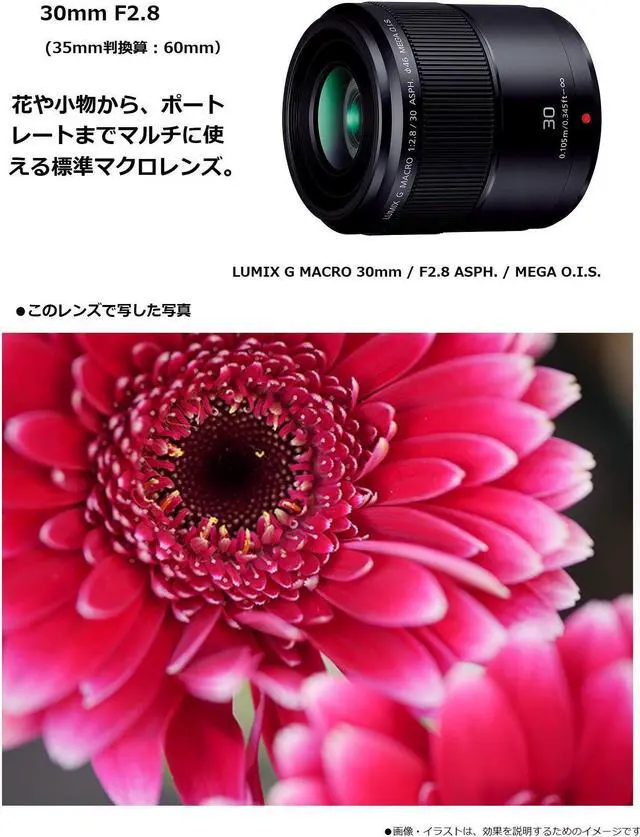 Alt view image 18 of 20 - Panasonic Lumix G 30mm f/2.8 MEGA OIS Macro Lens