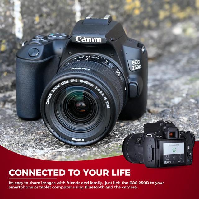 Canon Eos 250d Rebel Sl3 Digital Slr Camera With Ef-s 18-55mm Lens Kit  Built-in Wi-fi Dual Pixel Cmos Af And 3.0 Inch Vari-angle - Dslr Cameras -  AliExpress