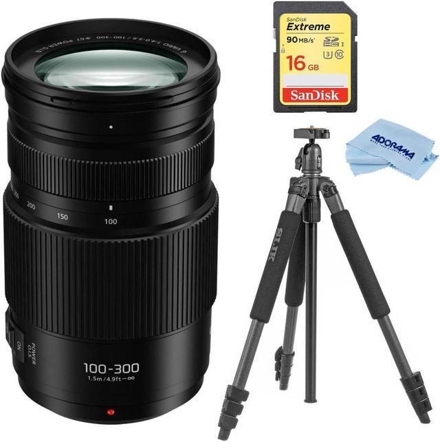 Panasonic Lumix G Vario 100-300mm f/4.0-5.6 II Power OIS Zoom Lens