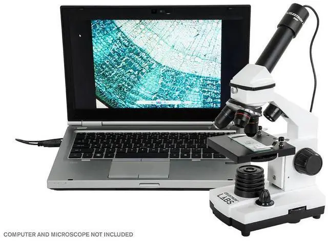Alt view image 18 of 19 - Celestron HD 5MP Digital Microscope Imager, Black