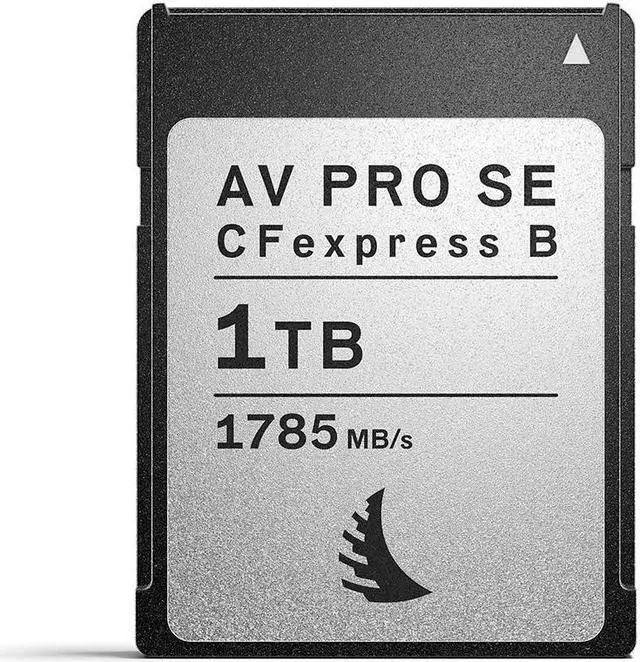 Alt view image 11 of 13 - Angelbird - AV PRO CFexpress B SE - 1 TB - CFexpress Type B Memory Card  All-Rounder Capacity - for Advanced Video and Photo Content Production - up to 12K+ RAW