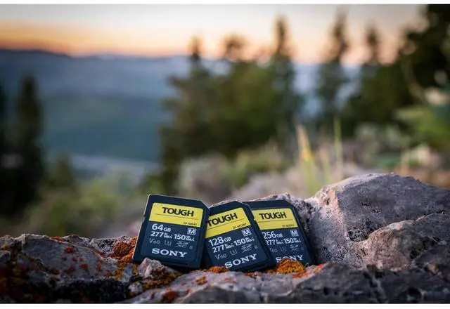 Alt view image 11 of 12 - Sony 256GB SF-M Tough Series UHS-II SDXC Memory Card SFM256T/T1