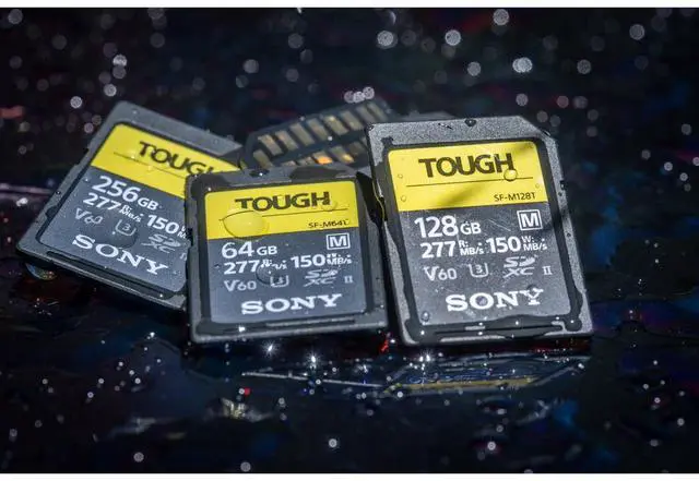 Alt view image 12 of 12 - Sony 256GB SF-M Tough Series UHS-II SDXC Memory Card SFM256T/T1