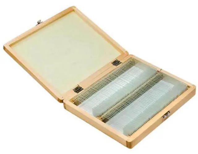 Alt view image 3 of 3 - 100 Prepared Microscope Slides w/ Wooden Case