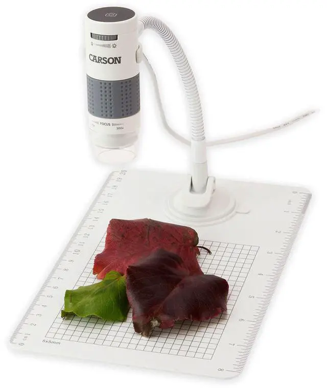 Alt view image 10 of 12 - Carson Optical eFlex 75x300x Digital Microscope (MM-840) CSNMM840