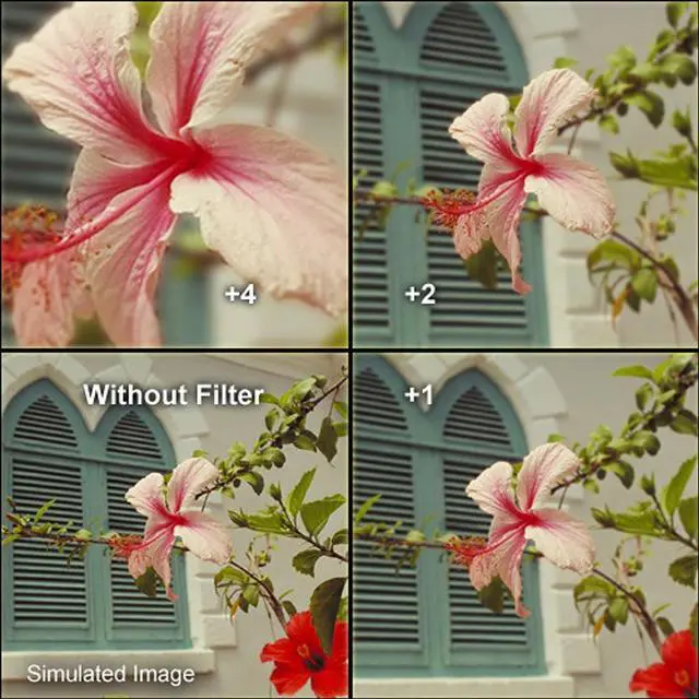 Alt view image 17 of 17 - Hoya 49mm HMC Close-Up Filter Set II (+1, +2, and +4)