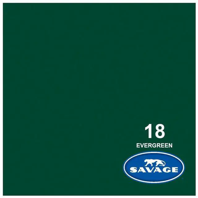 Alt view image 5 of 6 - Savage Widetone Seamless Background Paper, 86" wide x 36' Evergreen, #18 - Bundle With Flashpoint 10' Background Support System Air Cushioned, Flashpoint Clip Clamp with 2" Jaw