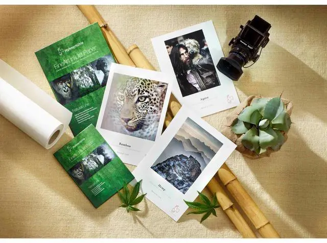 Alt view image 2 of 2 - Hahnemuhle Natural Line Sample Pack, Includes 2x Bamboo Paper Sheets, 2x Hemp Paper Sheets, 2x Agave Paper Sheets, 13x19"