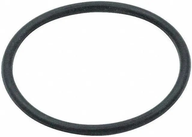 Main image of SPEEDAIRE GGS_56642 O-Ring for Metal Bowl,Heavy