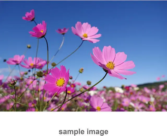 Alt view image 6 of 20 - Pentax HD DA* 11-18mm f/2.8 ED DC AW Zoom Lens