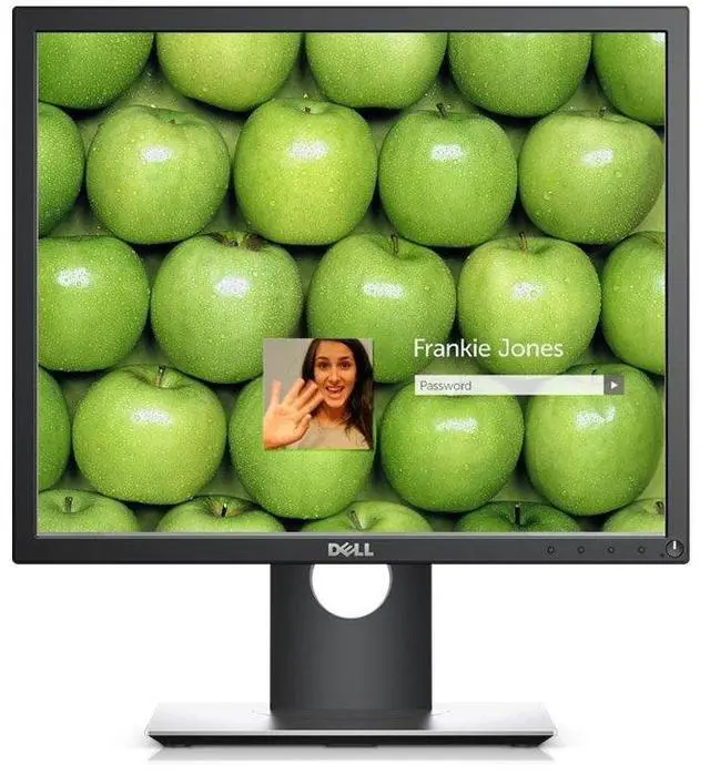 Main image of P1917S 48cm (18.9") LCD/LED Monitor - Black