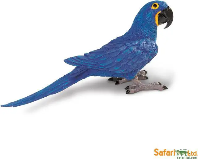 Alt view image 5 of 5 - Safari Hyacinth Macaw