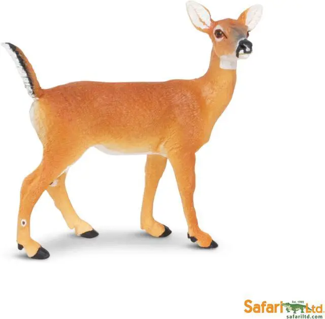 Alt view image 8 of 8 - North American Wildlife: Whitetail Doe