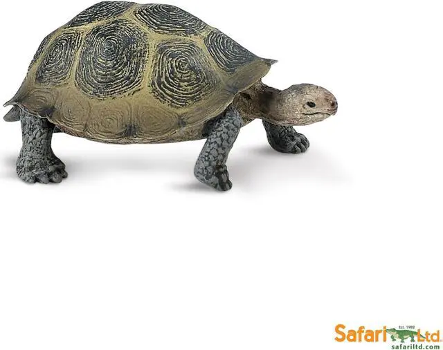 Alt view image 5 of 6 - Safari: Desert Toroise