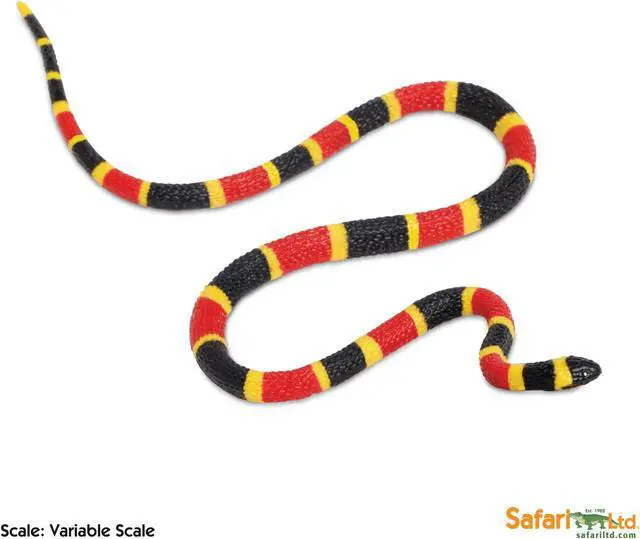 Alt view image 12 of 13 - Safari LTD Incredible CreaturesÂ® Coral Snake Baby