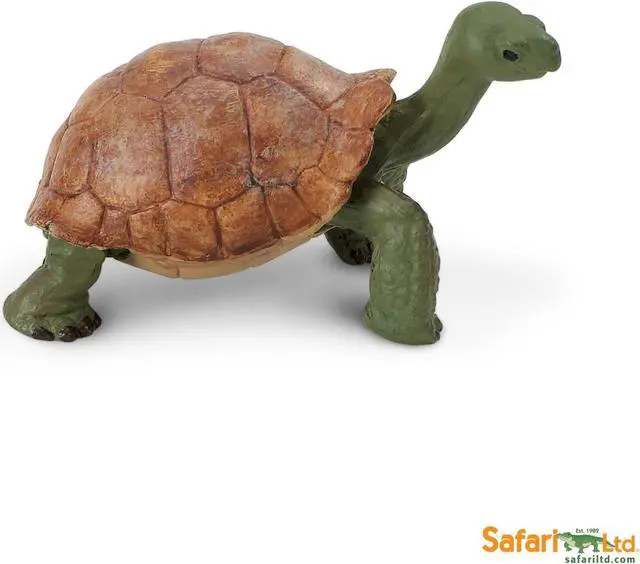 Alt view image 5 of 5 - Wild Safari Wildlife Giant Tortoise Safari Ltd Animal Educational Toy Figure