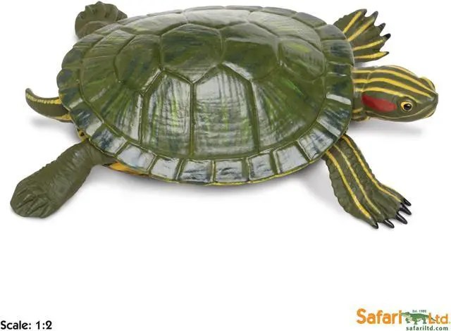 Alt view image 11 of 11 - Safari 269529 Incredible Creatures Red-Eared Slider Turtle