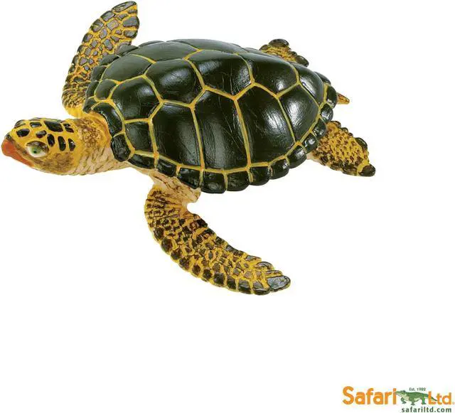 Alt view image 12 of 12 - Safari Wild Safari SeaLlife Green Sea Turtle