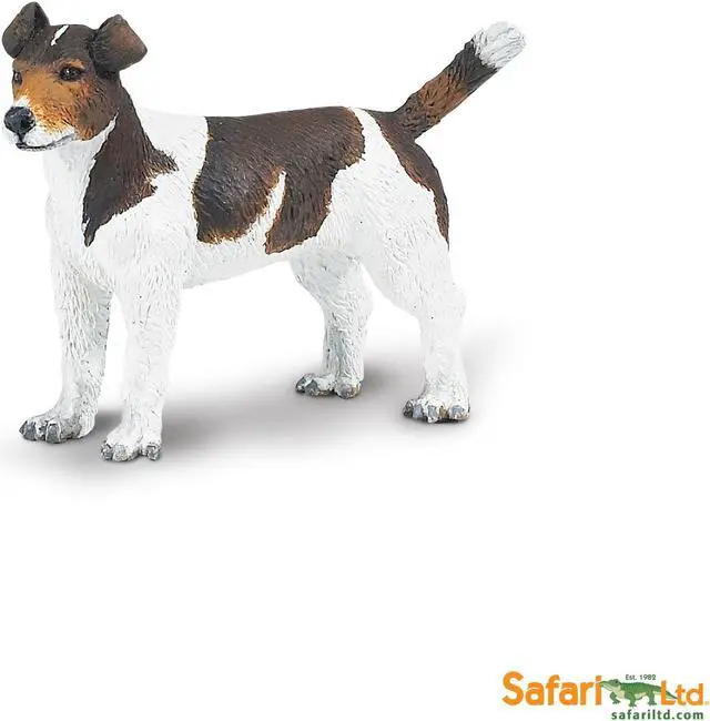 Alt view image 9 of 9 - Safari: Jack Russel Terrier