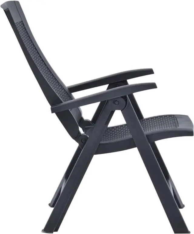 Alt view image 4 of 16 - vidaXL Outdoor Recliner Chairs 2 Pcs Patio Reclining Chair Plastic Anthracite