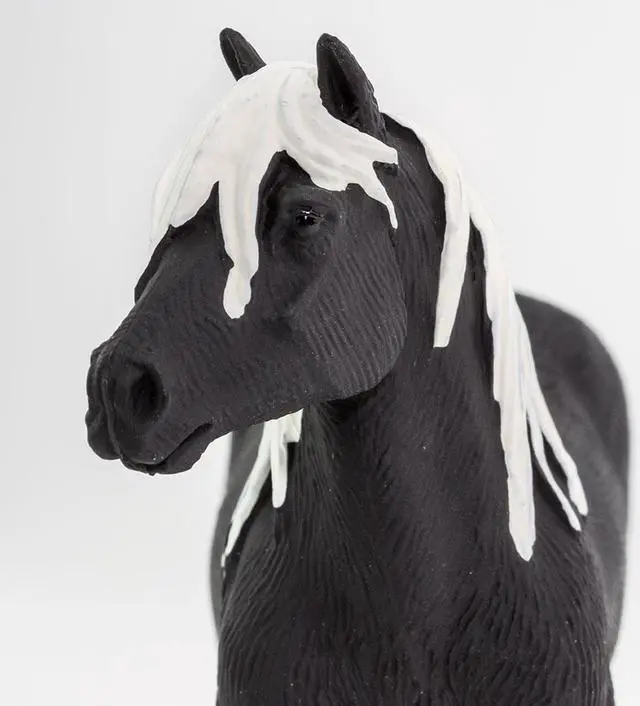 Alt view image 14 of 17 - Safari 150305 Wc Gypsy Vanner Stallion