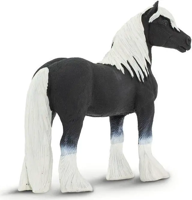 Alt view image 12 of 17 - Safari 150305 Wc Gypsy Vanner Stallion